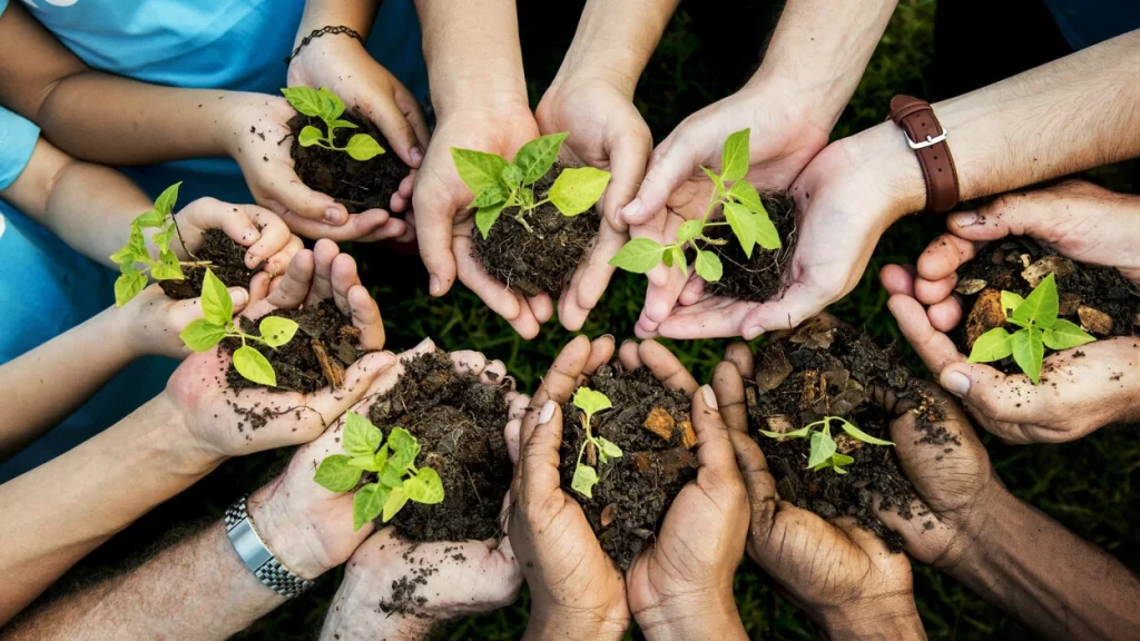 Save trees by sending more mail?